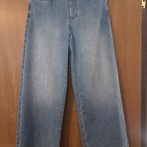 J. JILL DENIM Women's High Rise Wide Leg Jeans - Blue Size 4